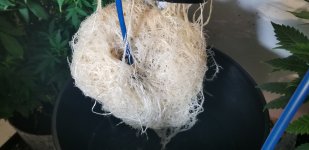 20180417_003001.jpg