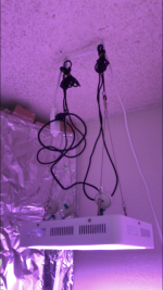 37C8B523-EE65-4CF4-BFCA-9BED0FA7F3CC.png