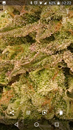 photo45817.png