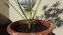 20180422_094149.jpg