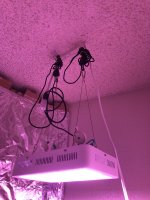 photo46423.jpg