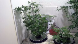 photo47579.jpg
