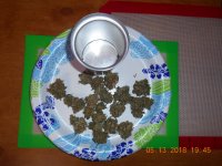 DSCN0088.JPG