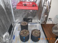 photo47864.jpg
