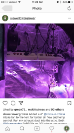 photo48281.png