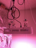 photo48583.jpg