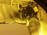 20180526_192248.jpg