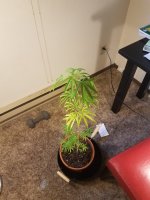 20180601_102535.jpg