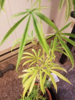 20180601_102601.jpg