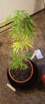 20180601_103412.jpg