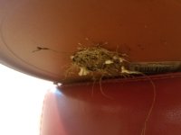 20180601_105008.jpg