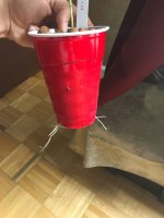 attach211054.jpg