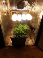 photo49927.jpg