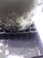 20180615_170719.jpg