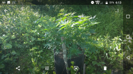 Screenshot_20180616-181342.png