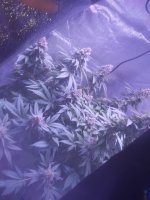 20180623_153446.jpg