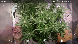 Screenshot_20180625-061255.png