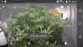 Screenshot_20180625-061319.png