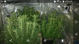 Screenshot_20180625-061457.png