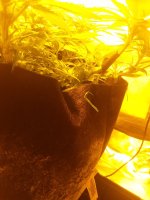 20180625_183333.jpg