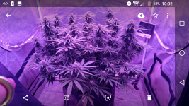 Screenshot_20180626-220241.png