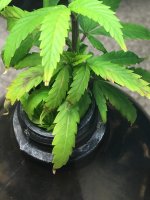 photo5782.jpg
