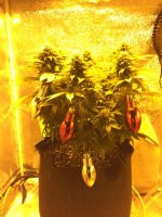 photo5848.JPG