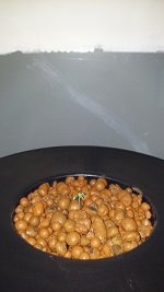 NL01.jpg