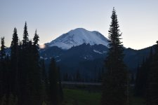 DSC_0130.jpg