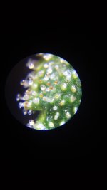 20161230_223939.jpg