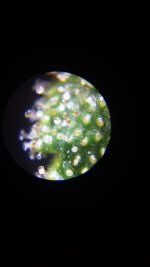20161230_223907.jpg