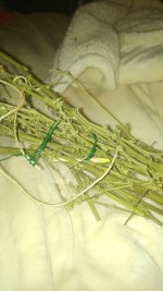 20170101_122010-1494x2656.jpg