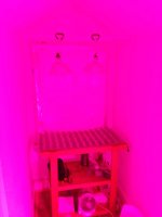 photo52854.jpg