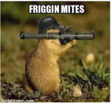photo52856.png