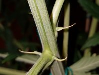 20180711_105517.jpg