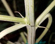 20180711_105635.jpg