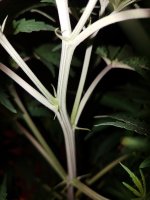 20180711_110427.jpg