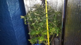 20180623_201306.jpg