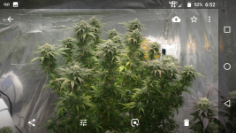 Screenshot_20180716-065213.png