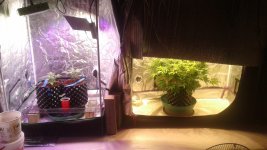 20180718_165209.jpg