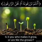 photo55230.png