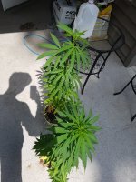 20180801_143220.jpg
