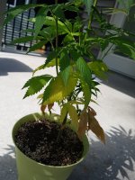 20180801_143144.jpg