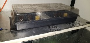 20180811_115334.jpg