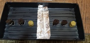20180811_114733.jpg