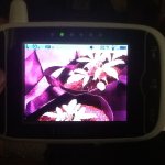 image.jpeg