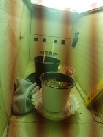 photo56124.jpg