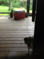 image.jpeg