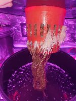 20180817_232939.jpg
