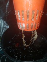 20180818_114649.jpg